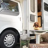 移動型フォトウェディング