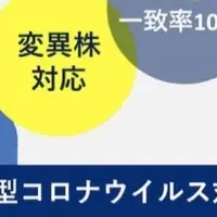 抗原検査キット特価販売