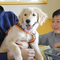 愛犬と宿泊できる部屋