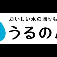 コラボ企画注目中！