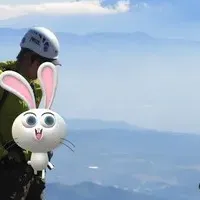 無償支援金サイト登場