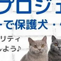 保護動物を救う