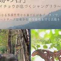 ブータンの野生動物保護