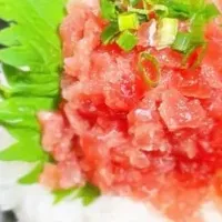 生マグロふりかけ登場