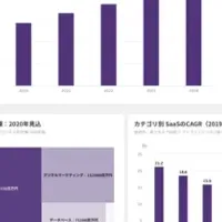 SaaS市場革新