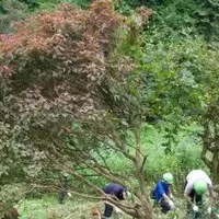 小菅村の地元文化イベント