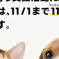 THE DOGプロジェクト