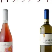 イタリア産オーガニックワイン