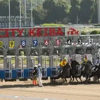 大井競馬場の新挑戦