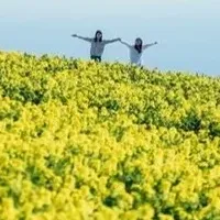 淡路島の癒し写真集