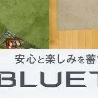 BLUETTI新CM