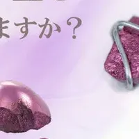 紫 KIZUNA誕生