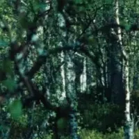 ラニュイポップアップ