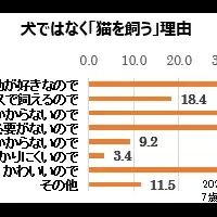 猫の健康診断