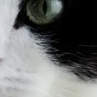 ディープログの紹介