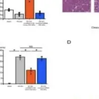 マイクロRNAと腎障害
