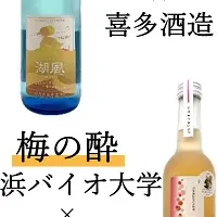 大学発お酒造り