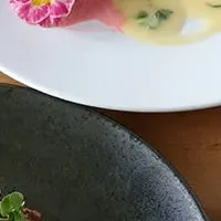 春爛漫！さくらプラン