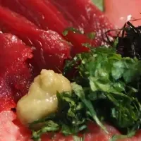 本マグロ販売開始