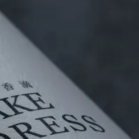 SAKE DRESS新発売