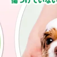 愛犬のシャンプー法