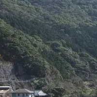 持続可能な島旅