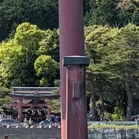 琵琶湖で水上サイクリング