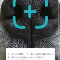 迷子犬を守る新技術