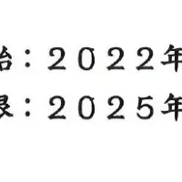 出生前検査の信頼性