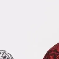 SOFTMACHINE 20周年