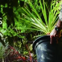 新しいライフスタイルウェア