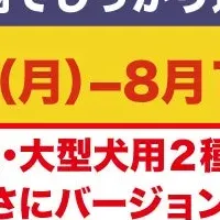 代官山室内ドッグラン