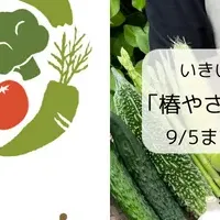 五島の野菜が堪能できる