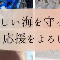 タイマイ保護サポーター募集