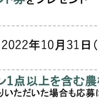 コンバイン買取でAmazonギフト券