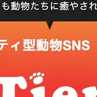 新SNS『Tier』登場