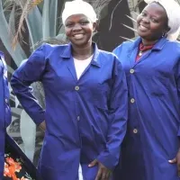 ウガンダのカカオの魅力