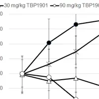 新抗がん剤TBP1901の作用機序