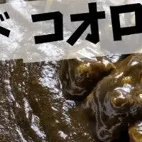 愛媛のコオロギカレー