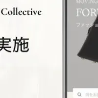 HIVE Collectiveの展開