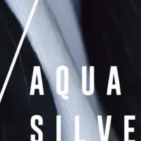 AQUA SILVERの新展開