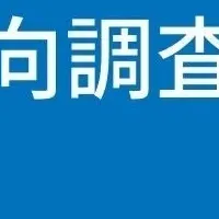 DM発送代行の調査結果