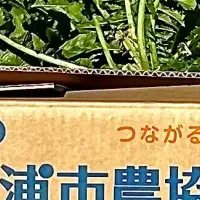 食品ロスと子ども支援