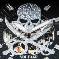 VOLTAGE 15周年腕時計