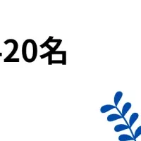 カードローン利用実態調査