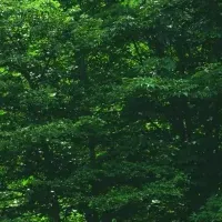 登別の環境教育ツアー