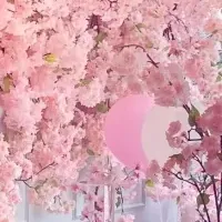 桜アフタヌーンティー