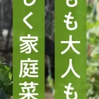 NINJAマルチ新発売！