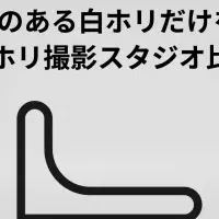 白ホリ比較サイト