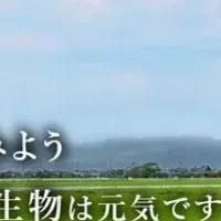 土壌診断で食糧危機解決